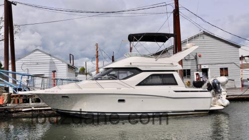 Bayliner Avanti 3258 opinia i specyfikacje